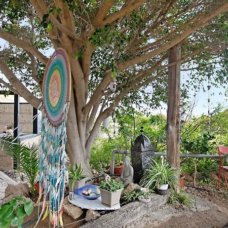 Casa Munay Granadilla De Abona Ngoại thất bức ảnh